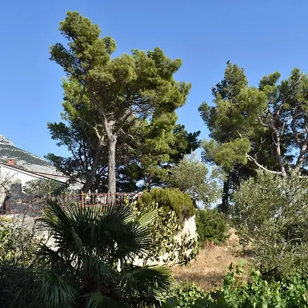 Pehar Makarska
